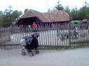 Centerparcs speeltuin