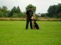 Kulka fas 20080630 (1)
