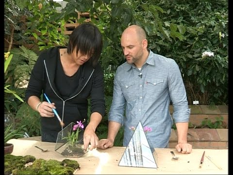 Top Billing makes Terrariums