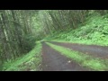 Look Ma, No Brakes on a Mountain Bike Oregon Forest Road