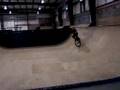 sebastians bmx