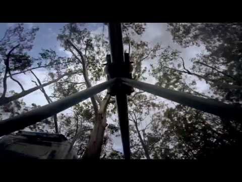 TreeTop Crazy Rider, Central Coast, NSW, Australia
