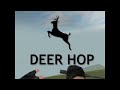 Surf_greatriver Awesomedeer Antadoballs Deerhop
