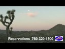 The Best Of Palm Springs, Joshua Tree and Jeep Tour
