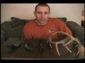 Hunting with whitetail deer calls