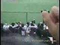 vipのおっぱい