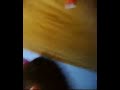 Hearted Mother - Knockin\