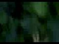 videos de bomba 2