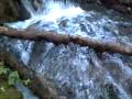 videos de micro espacio natural
