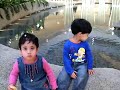 اظفال الشاوي