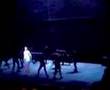 Maxim Mironov Orfeo ed Euridice Gluck