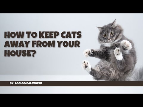 How to keep cats away || How to keep cats away from your house