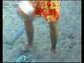 videos de Sempre, sempre (stále a pořád) beach-volleyball