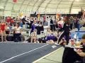 USA GYMNASTICS LEVEL 7 (Spirit of the Flame 2007)