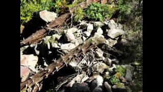 Чудеса Создателя (фильм 2) Карпаты - Говерла (осень 2012) Фото Андрей Казаков