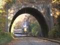 Reading & Northern: Fall Colors on the R&N