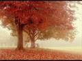Vivaldi El Otoño