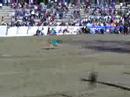 SHOW POLICE DOGS IN CHILE