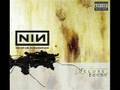 The Becoming-NIN