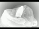 gyertya