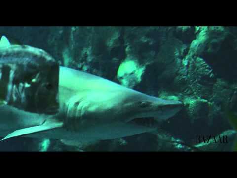 WATCH: Behind the Scenes of Rihanna's Shark Tank Photo Shoot