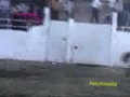 jaripeo ranchero