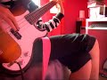 Rhinoceros. Smashing Pumpkins [bass cover]