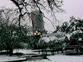 Texas Woman's University in the Winter