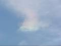 Circumhorizon Arc - Rainbow in the Clouds