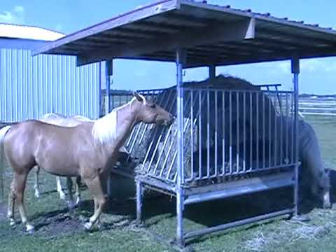Klene Pipe Structures H-8 Hay Feeder for Horses