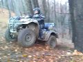 ATV vio nov 4