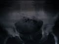 Madonna - Like a Virgin [Confessions Tour Backdrop]