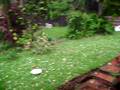 videos de Durban Hail Storm South Africa