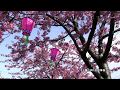 ���ź�:YouTube������=85��