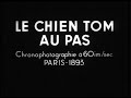 Hommage a E.J. Marey