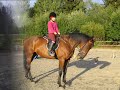Arska