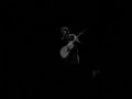 jeff tweedy   someday some morning sometime