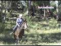 videos de Me Riding Toppa