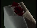 Drawing Restraint 9 - Gratitude - OPENING