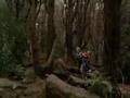 Un ponte per Terabithia - Field of Innocence
