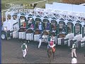 Baffert Caps Four-Win Day With Record Fifth Futurity Victory