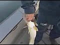 Walleye Walleye