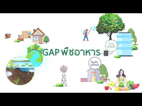 การปฏิบัติทางการเกษตรที่ดีสำหรับพืชอาหาร (GAP พืชอาหาร).