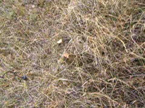 how to locate underground wires