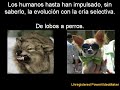 las 10 mentiras principales de los creacionistas