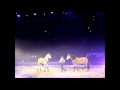 Apassionata 2013 - "Friends Forever" - Christophe ...