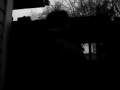 Old Man in the Window Old Man in the Window