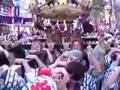 渋谷金王八幡宮例大祭2007/Shibuya Caneou Hachimangu shrine festival 200