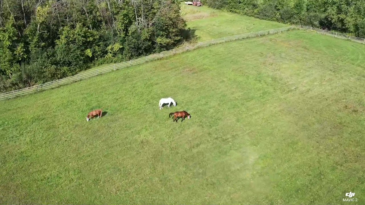 Liv Stables With New Dji Mavic Pro