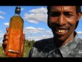 Cow Urine Soda | ZapRoot